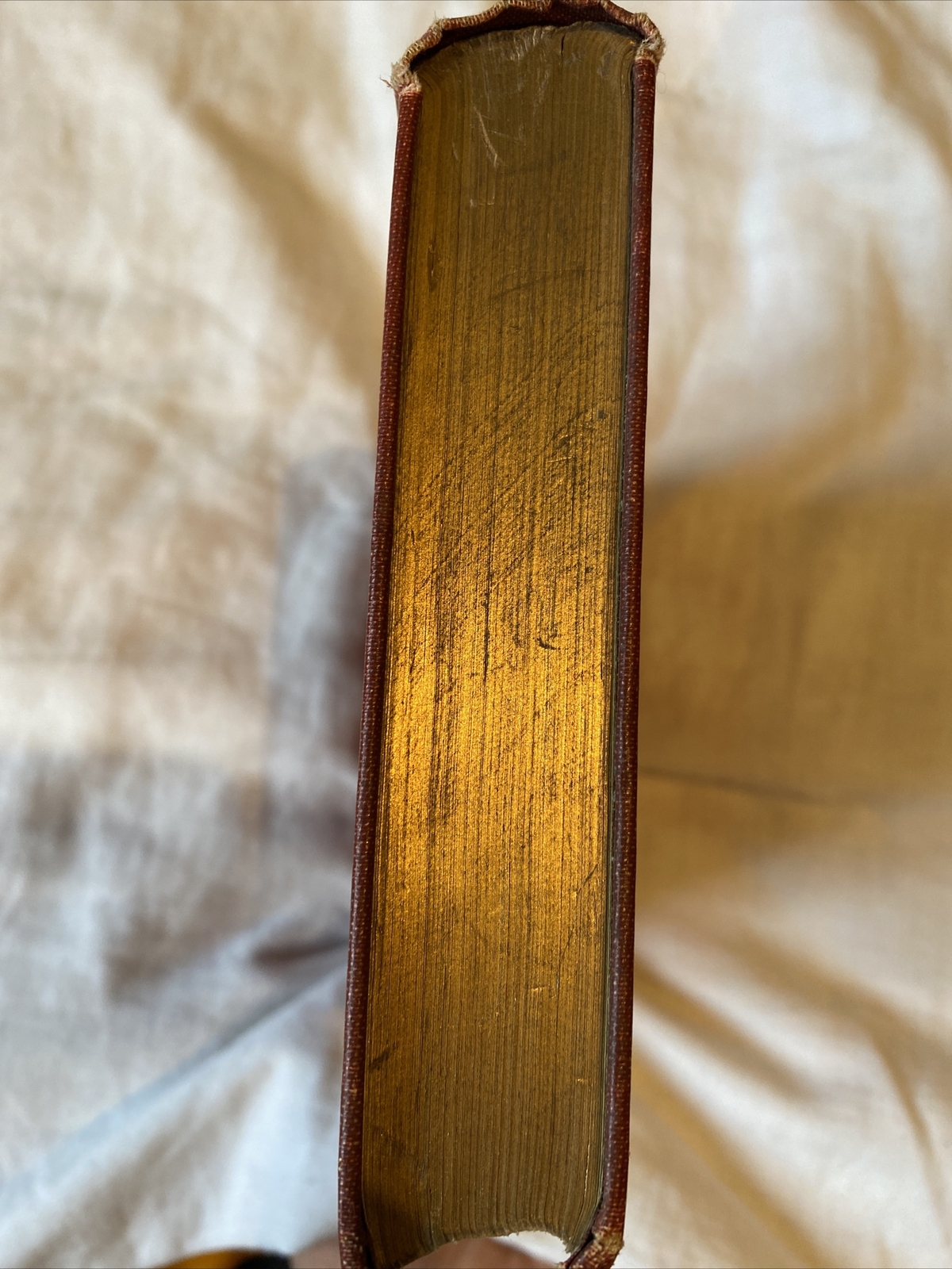 Picture 4 of 12