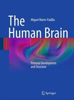 Miguel MaríN-Padilla | The Human Brain | Buch | Englisch (2010) | Xii | Springer