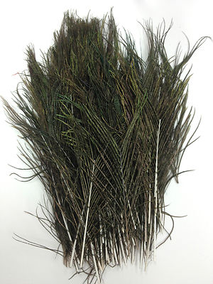 200 Peacock Feather Flue Stems Plume W/O Eye Green Floral Pick Hair Clip Fringe