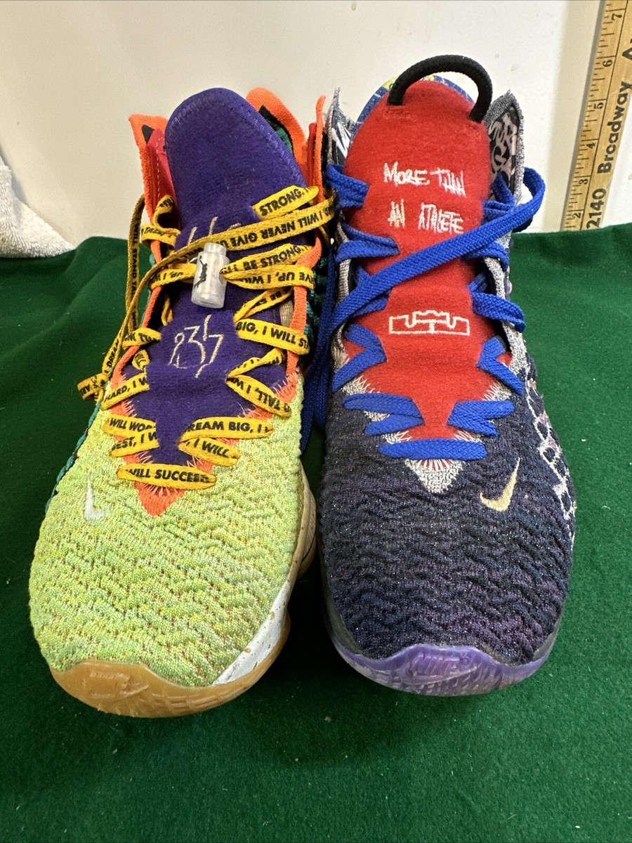 Nike Lebron 17 XVII WTW Nike Lebron 17 XVII WTW