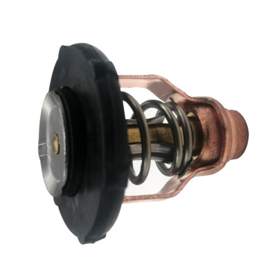 Thermostat 6FP-12411-00 – Fits Yamaha 75-90 HP 4-Stroke Outboard