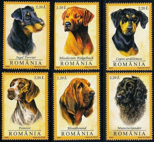 ROMANIA 2005 DOGS SET MNH ANIMALS - Picture 1 of 1