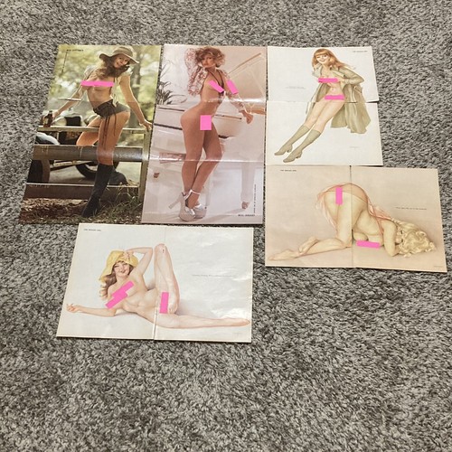 1960s/1970s Playboy Magazine Centerfolds Pages Vargas Girls Cartoons