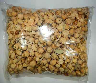 Whole Paneer Doda Indian Rennet Withania Coagulans Ayurveda Herbs