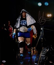 Josh Barnett Signed 16x20 Photo BAS Beckett COA UFC Pride FC Picture Autograph C