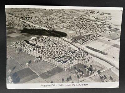 AK Zeppelin Weltfahrt Aegypten-Fahrt 1931 Über Palmen-Wäldern #320