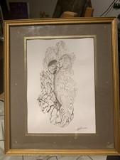 Pencil Drawing In Frame