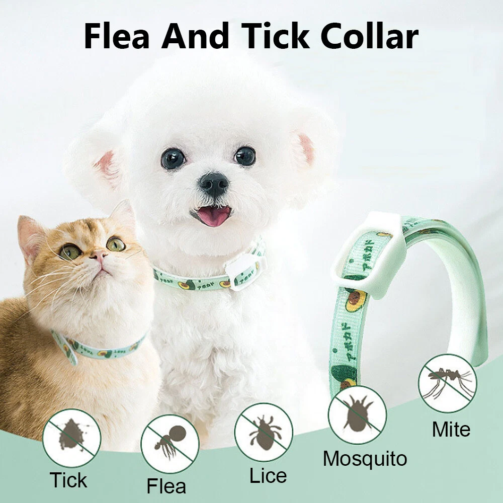 Dog collar to hot sale hide flea collar