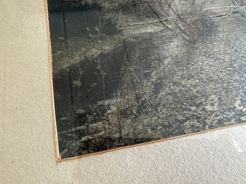 Large Antique Framed Hand Colored Photo Birch Trees Landscape Sawyer Type - Picture 11 of 14