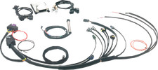 Namz N-efi-01 Stand-alone Efi Engine Management System Twin Cam Harley-davidson