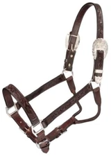 Silver Royal Dark Oil Leather Horse Size Handtooled Show Halter