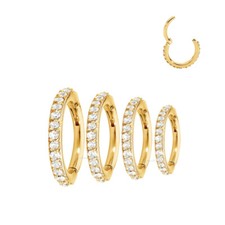 Gold Segment Ring Clicker Hinged Cartilage Helix Daith Rook Tragus Hoop