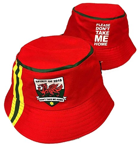 New Spirit of Wales 2016 Yellow Stripe 