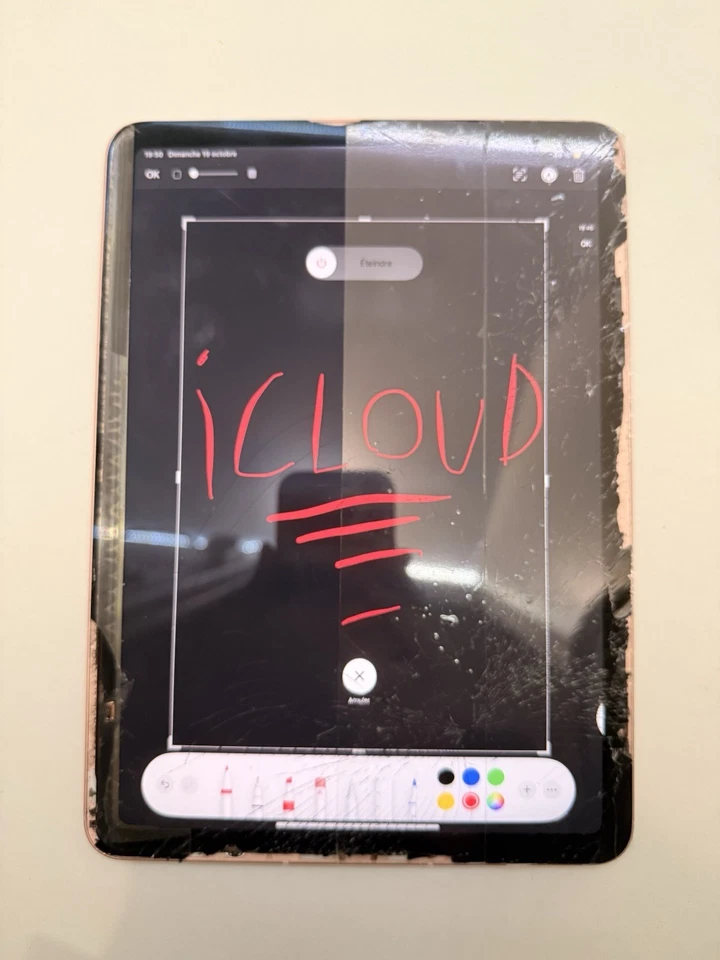 iPad Air 4 MDM Lock Pink 64Go + Cellular