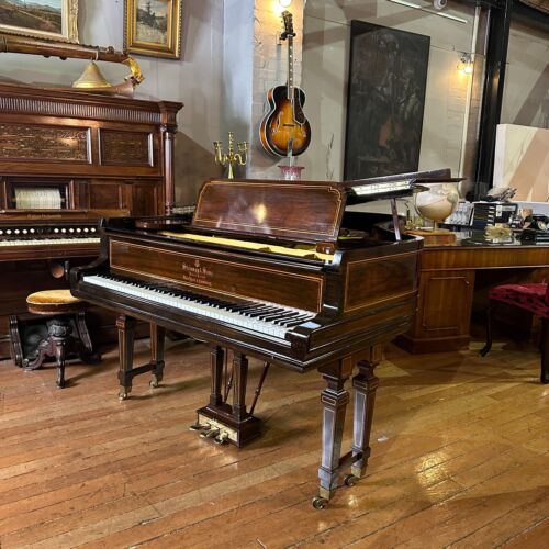 1905 Steinway & Sons Model B Grand Piano Rosewood |Sherwood Phoenix Pianos VIDEO - Picture 14 of 23