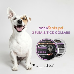 cheap seresto collars