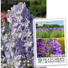Larkspur Rocket Lilac Flower Seeds, 250 Seeds Per Packet, (), Non GMO & Heirl...