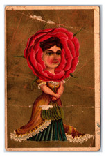 Original 1870s Victorian Trade Card - Lady With A ROSE as a head