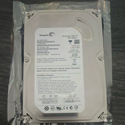 Seagate Barracuda 7200.10 300GB 7200RPM 3.5'' SATA II 16MB ST3300620AS