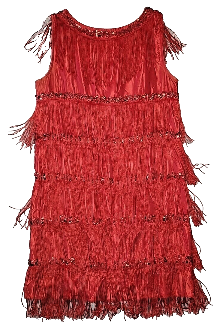Vintage Red 1920s Flapper Style Costume Dress Distinctive Costume Co Women  M | eBay