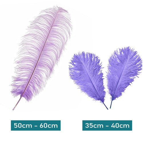 Plumas de avestruz grande pluma para artesanía sombrero artes boda fiesta disfraz decoración - Imagen 21 de 22