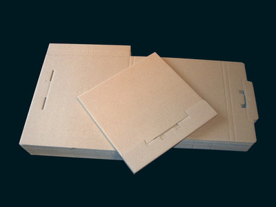50 Versandkartons für 1-3 LPs / Vinyl - Neuware / LP - Versandkarton 1-3