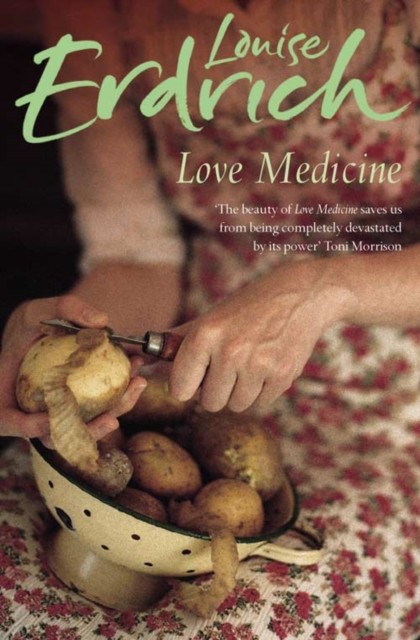 Love Medicine by Louise Erdrich (Paperback Book)