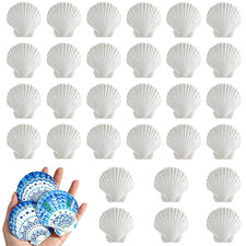 30PCS Natural White Scallop Shells, 2.5-3 Inch Seashells for Craft, Beach Decor,