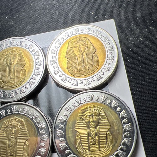 2008 Egypt 1 Pound King Tut Bi-metal (randomly Picked From 4 Pictured) X2112 - Picture 4 of 8