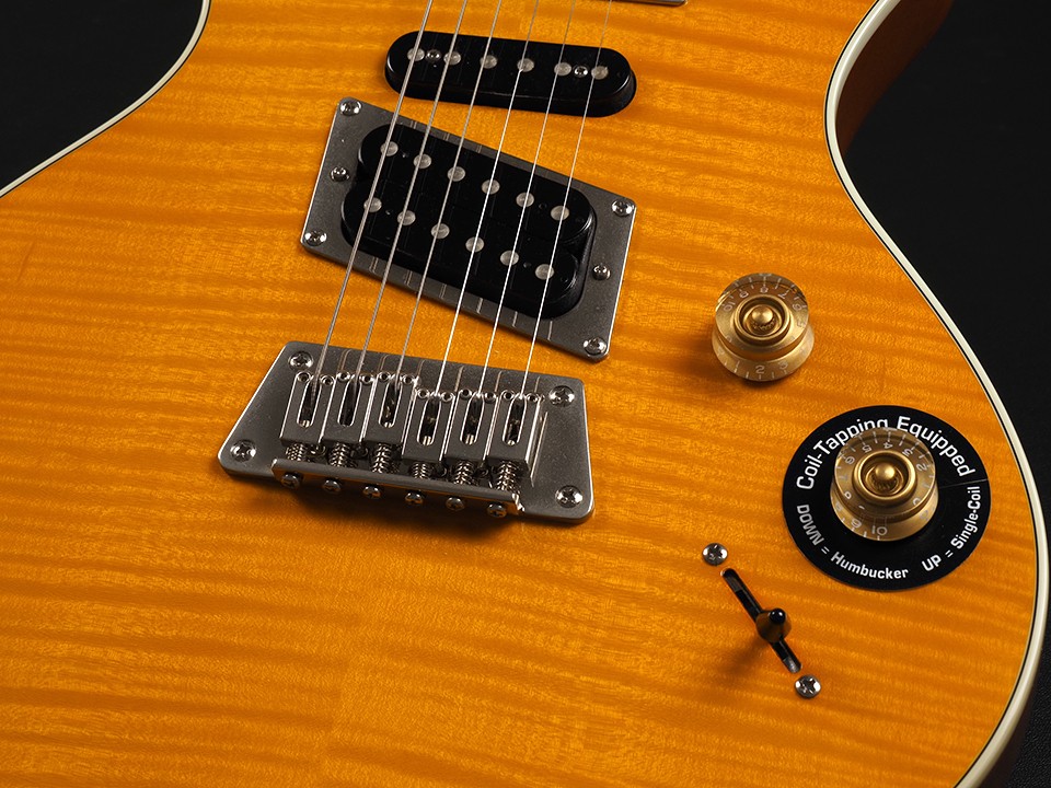 Epiphone Nighthawk Custom Reissue ~Trans Amber~ o8410 | eBay