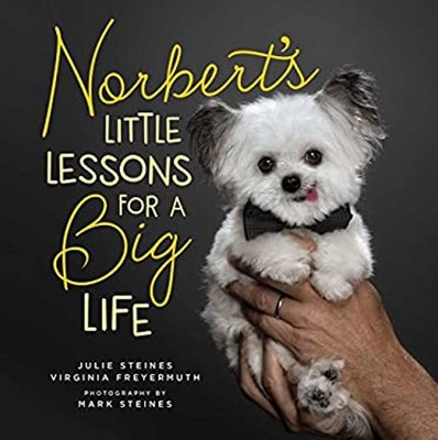 Norbert's Little Lessons for a Big Life Julie, Freyermuth, Virgin