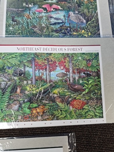NATURE OF AMERICA STAMPS 8 SHEETS - Picture 7 of 15