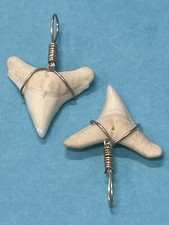 SHARK TOOTH PENDANTS ( 2 ) …3/4 Inch BLACK TIP Shark Teeth 