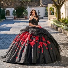 Gothic Beaded Black and Red Wedding Dresses Lace Appliques Princess Bridal Gowns