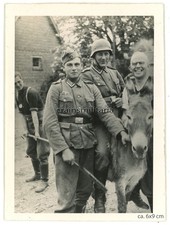 Orig. Foto 30.ID Aufklärer Reiter bei Humor mit Esel in Flandern Belgien 1940