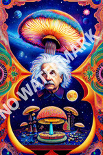 4096 x 614 HQ AI Hippy ART Digital Image Picture Print Albert Einstein Mushrooms