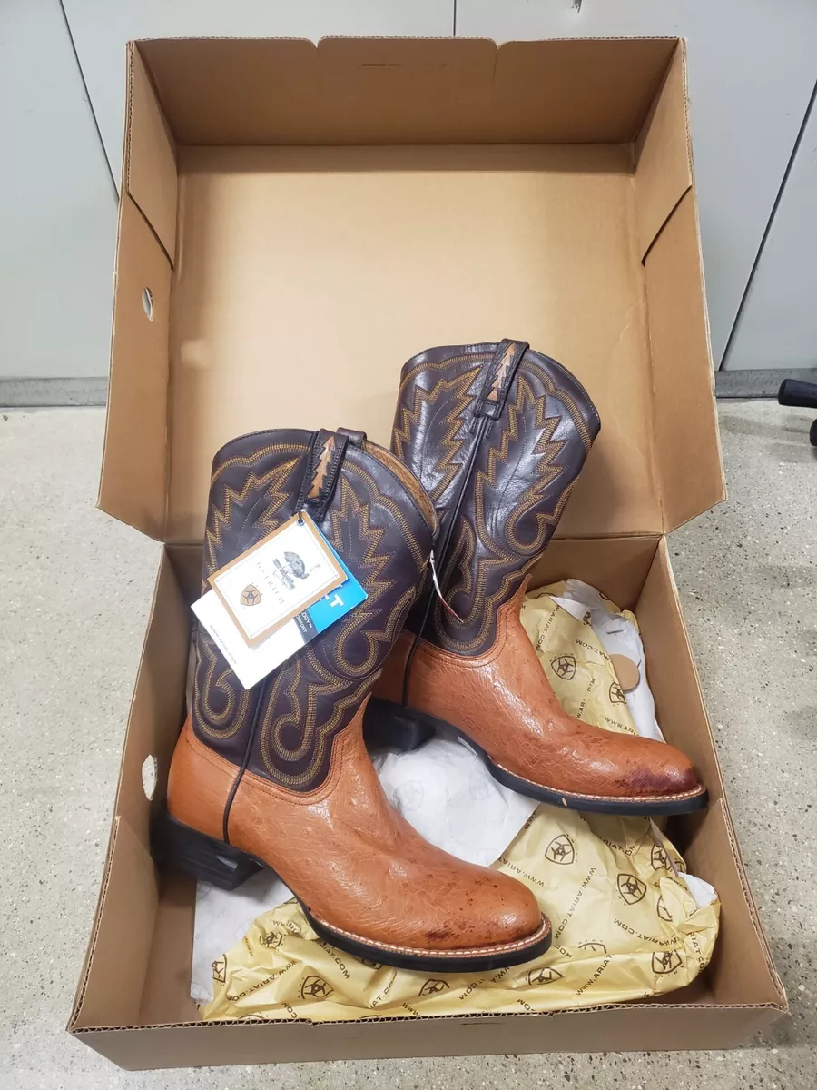 Ariat cobalt sales paddock boots