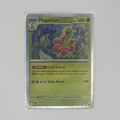 The Pokémon Company Meganium 8/149 Holo Rare Sun & Moon EN 2017 Stage 2 160 HP