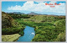 Vintage Wailua River Kauai Hawaii Scenic Postcard Color Photo