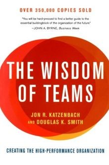 The Wisdom of Teams: Creating the High-Performance Organ... | Buch | Zustand gut
