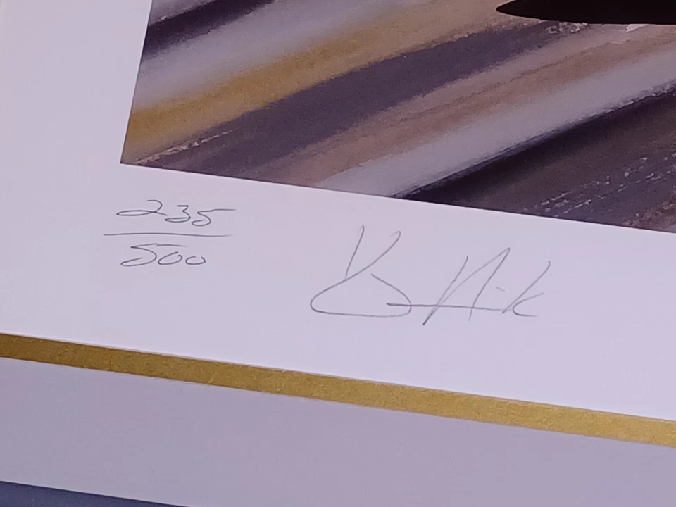 KEVIN HARVICK NASCAR SIGNED FRAMED PRINT 2002 AUTOGRAPHED NUMBERED GARY HILL VTG — 第 4/4 张图片