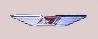 Express Jet Airlines - Flight Attendant Wing Silver
