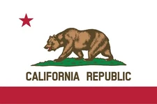 (NOT A PATCH) California State Flag HTV Heat Transfer Vinyl Iron On