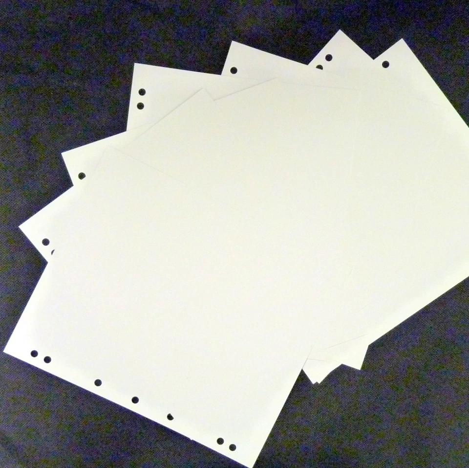 Coingallery Insignia Album Coin Page Blank White Dividers Pack of 10