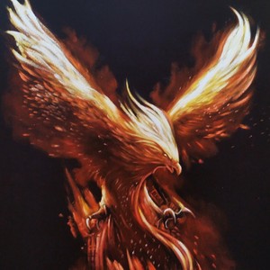 Birds For Sale In Phoenix Arizona Classifieds  Buy And
