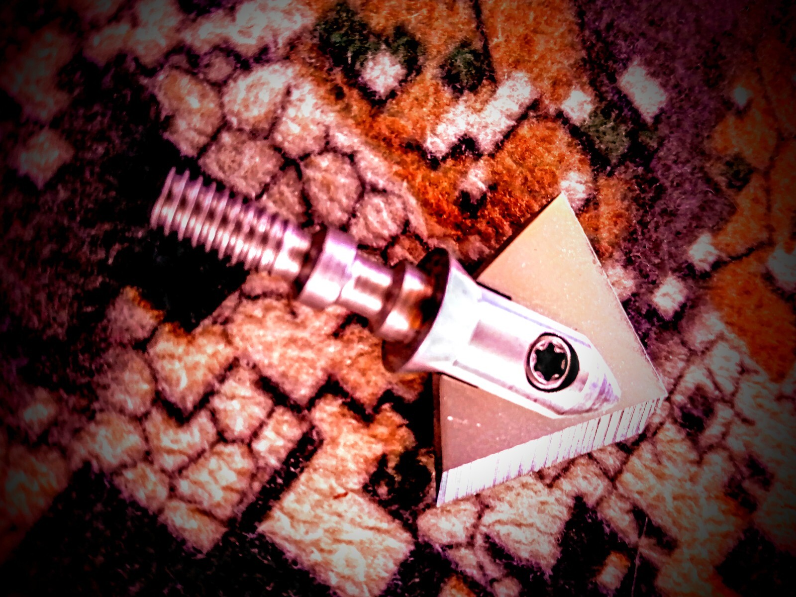 Alien Archery Australia REPLICANT 100 grain all SS SINGLE BEVEL