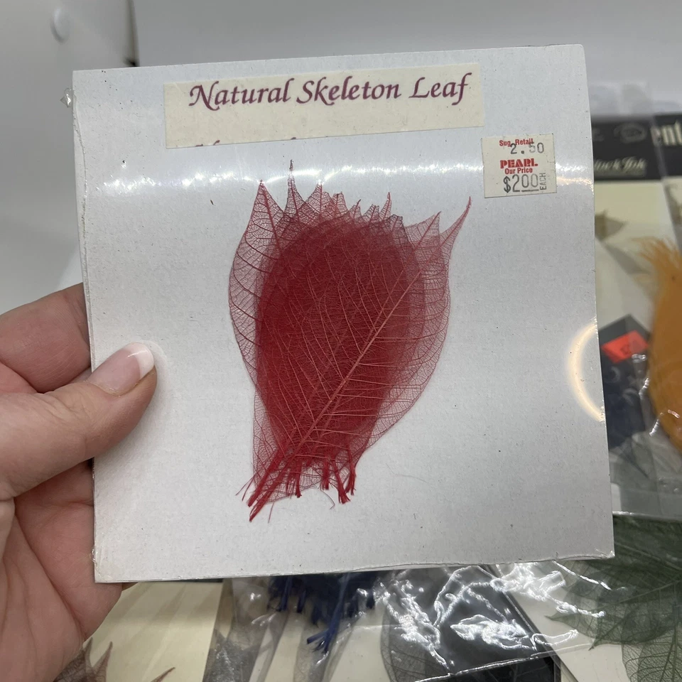 黑色墨水装饰口音骨架静脉叶套装混合颜色品牌 — 第 3/4 张图片