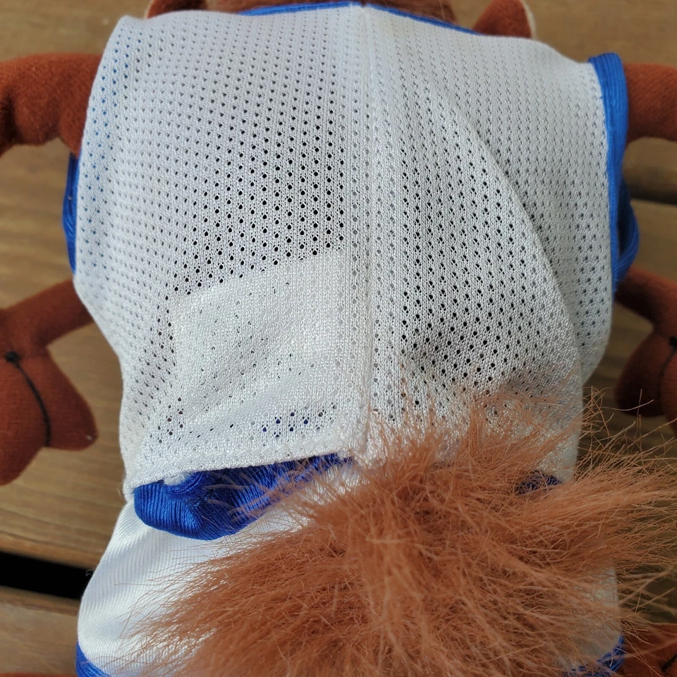 Peluche de colección TAZ SPACE JAM TASMANIAN DEVIL 1996 Warner Bros peluche 10 pulgadas Foto 3 de 4