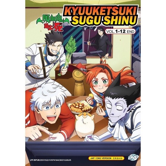 DVD Anime Kinsou No Vermeil Gakeppuchi Series (1-12 End) English Dub, All  Region