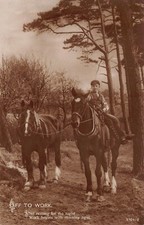 RPPC Young Boy Riding Horse Pasture Twilight Morning Light Photo Postcard B25